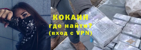 ALPHA-PVP Гусев