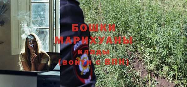 ALPHA-PVP Гусев