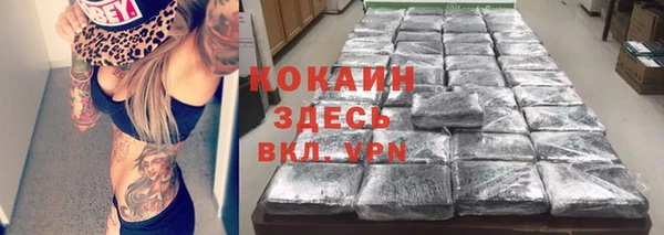 ALPHA-PVP Гусев