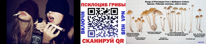 Галлюциногенные грибы мухоморы  Купить закладки  Ревда 